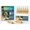 Start Up - 6 fiale - Prodibio