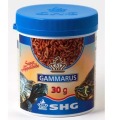 Gammarus 110gr. - Askoll