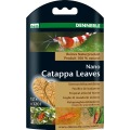 Nano Catappa Leaves (12pz.) - Dennerle